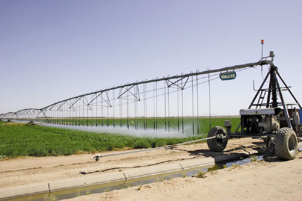 Аңқасы да, қаңқасы да кеппейді