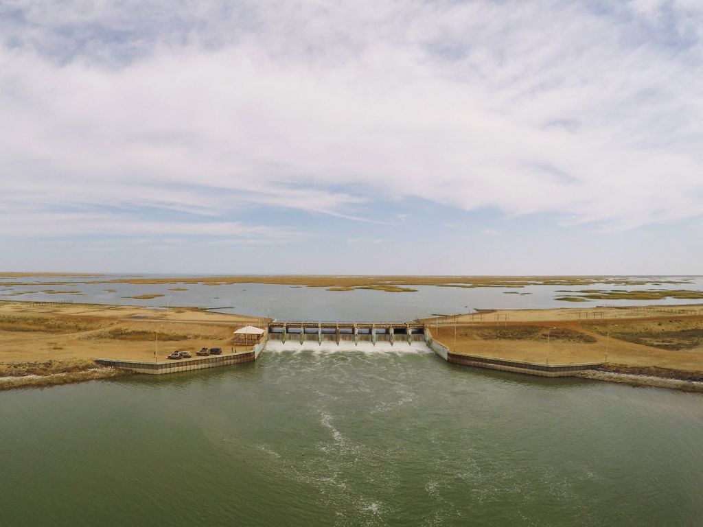 Тіршіліктің тұмасы