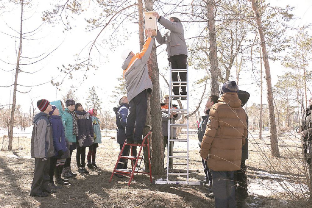 Құстарға арналған ұя