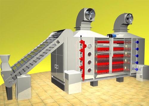 ОҚО-да пияз кептіру цехы іске қосылады