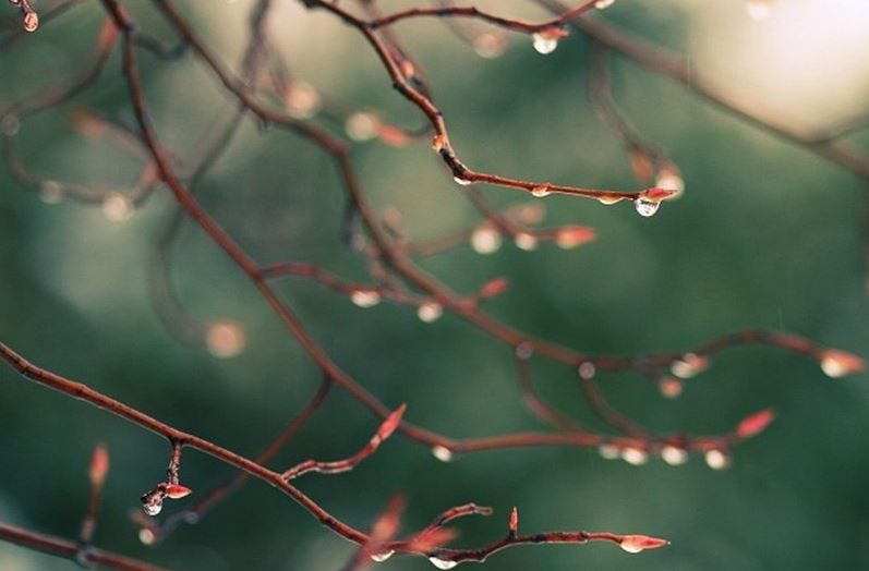 Еліміздің кей жерлерінде жаңбыр жауады