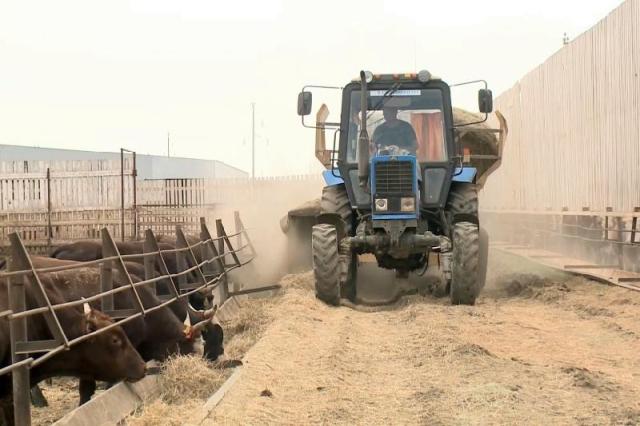 Агросектор: Тоқсан қорытындысы не дейді?