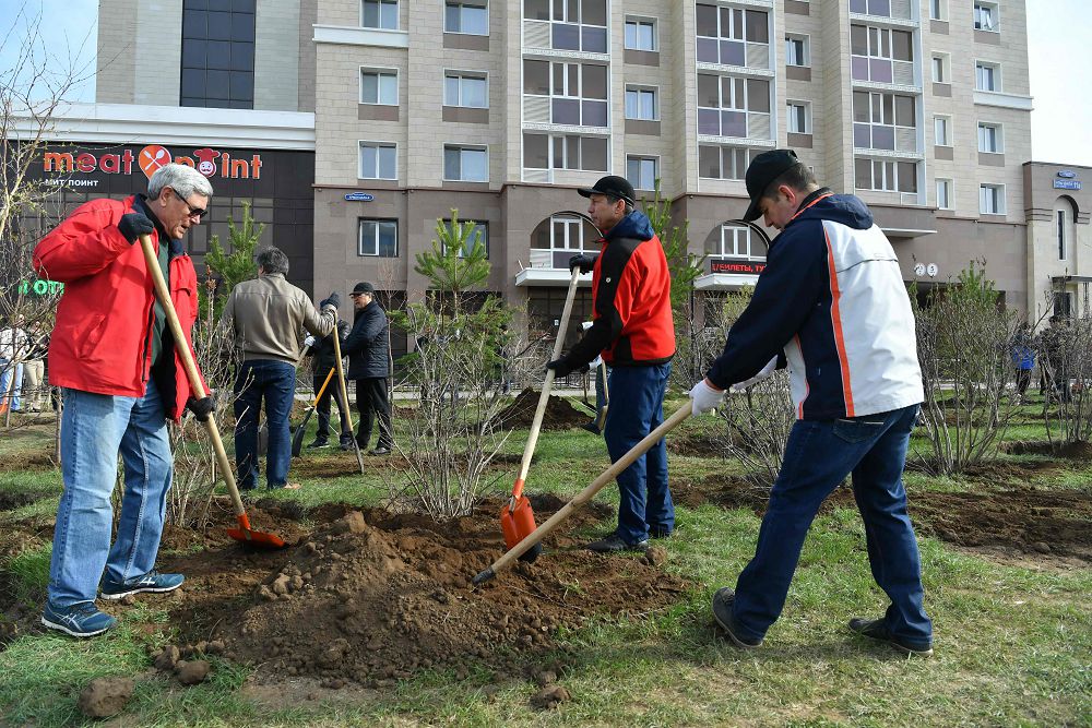 Сенаторлар сенбілікке қатысты