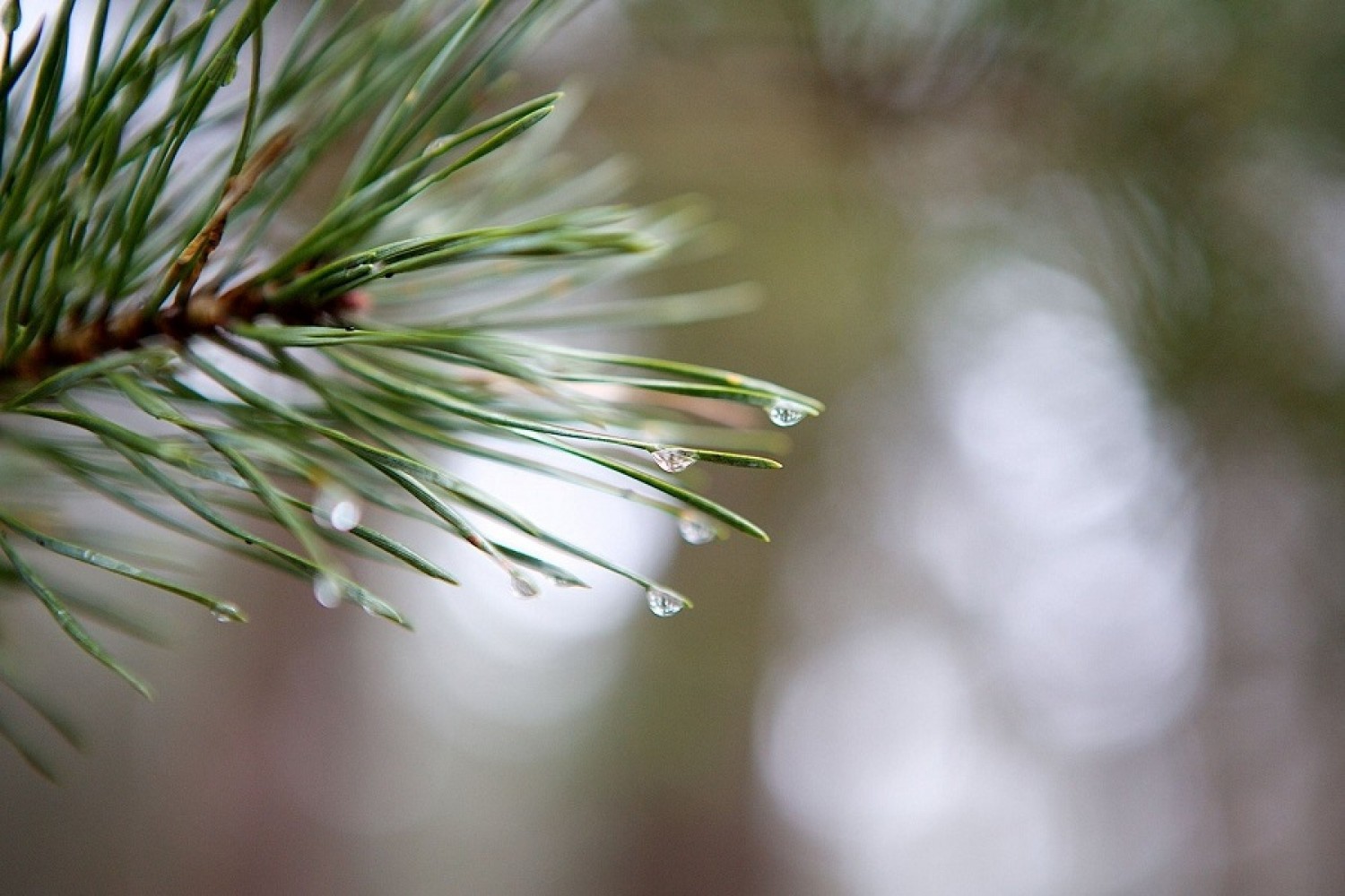 Бүгін Қазақстанда құбылмалы ауа райы сақталады