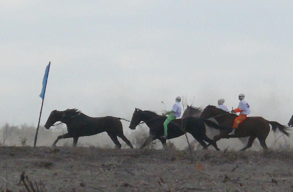 Шабандозы жығылған жүйрік