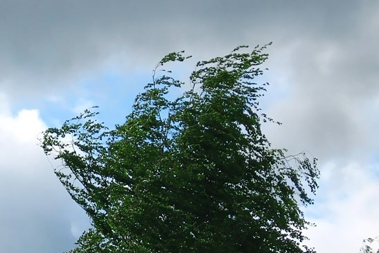 29 шілдеде солтүстік пен шығыста жел күшейеді, оңтүстік пен батыста - аптап ыстық