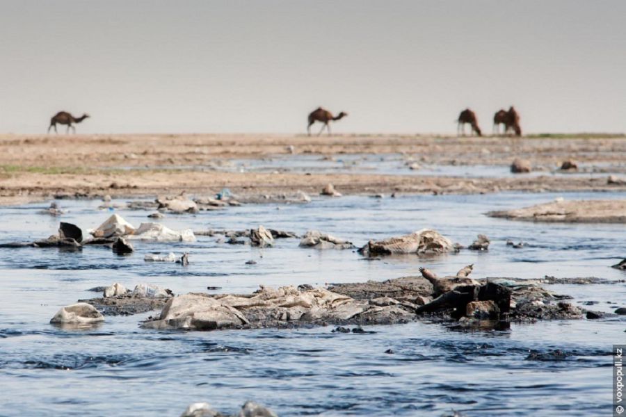 Маңғыстау экологиясы: мәселе және міндет
