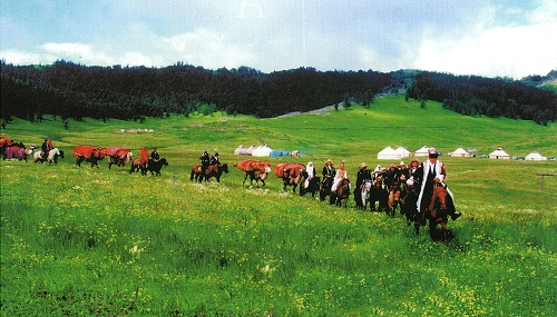 Түмен топырағындағы торқалы той