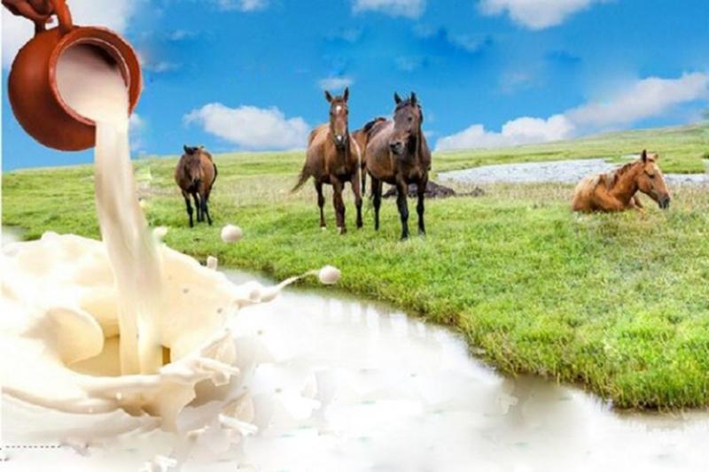 Қазақстаннан Жапония мен Оңтүстік Кореяға бие сүті экспортталады