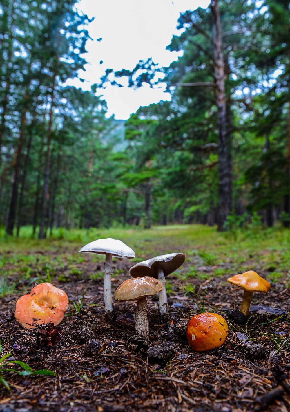 Жер қорларын ұтымды пайдалану маңызды
