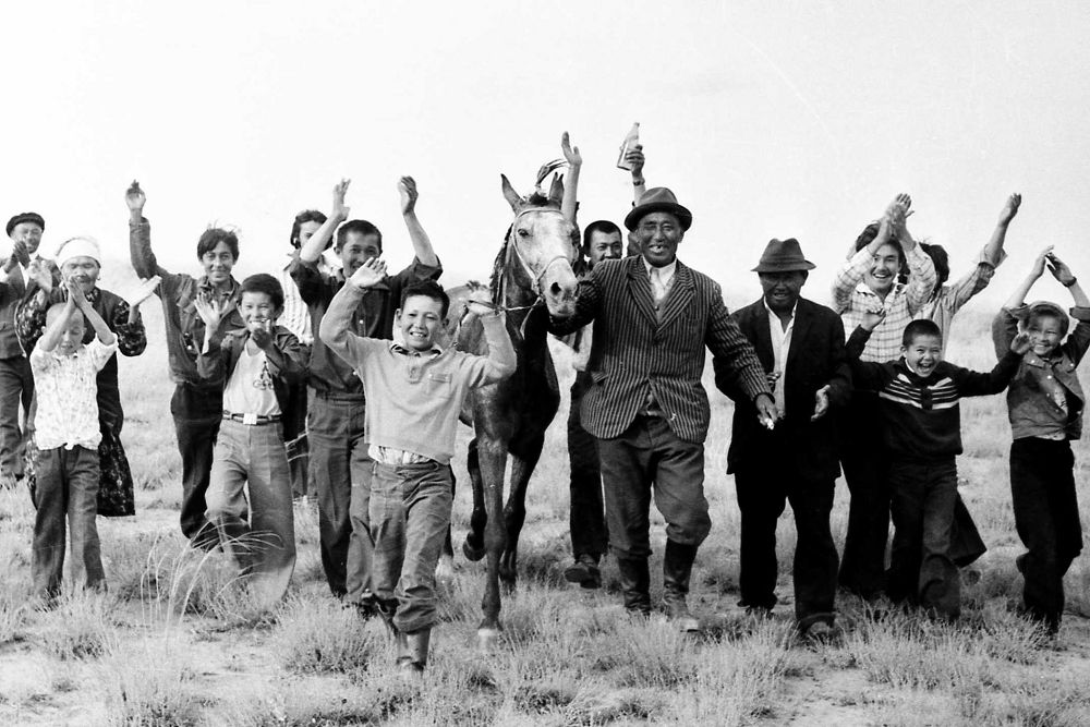 Қойшының бәйгеден келген аты