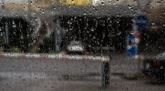 Еліміздің басым бөлігінде алдағы апта жаңбырлы болады
