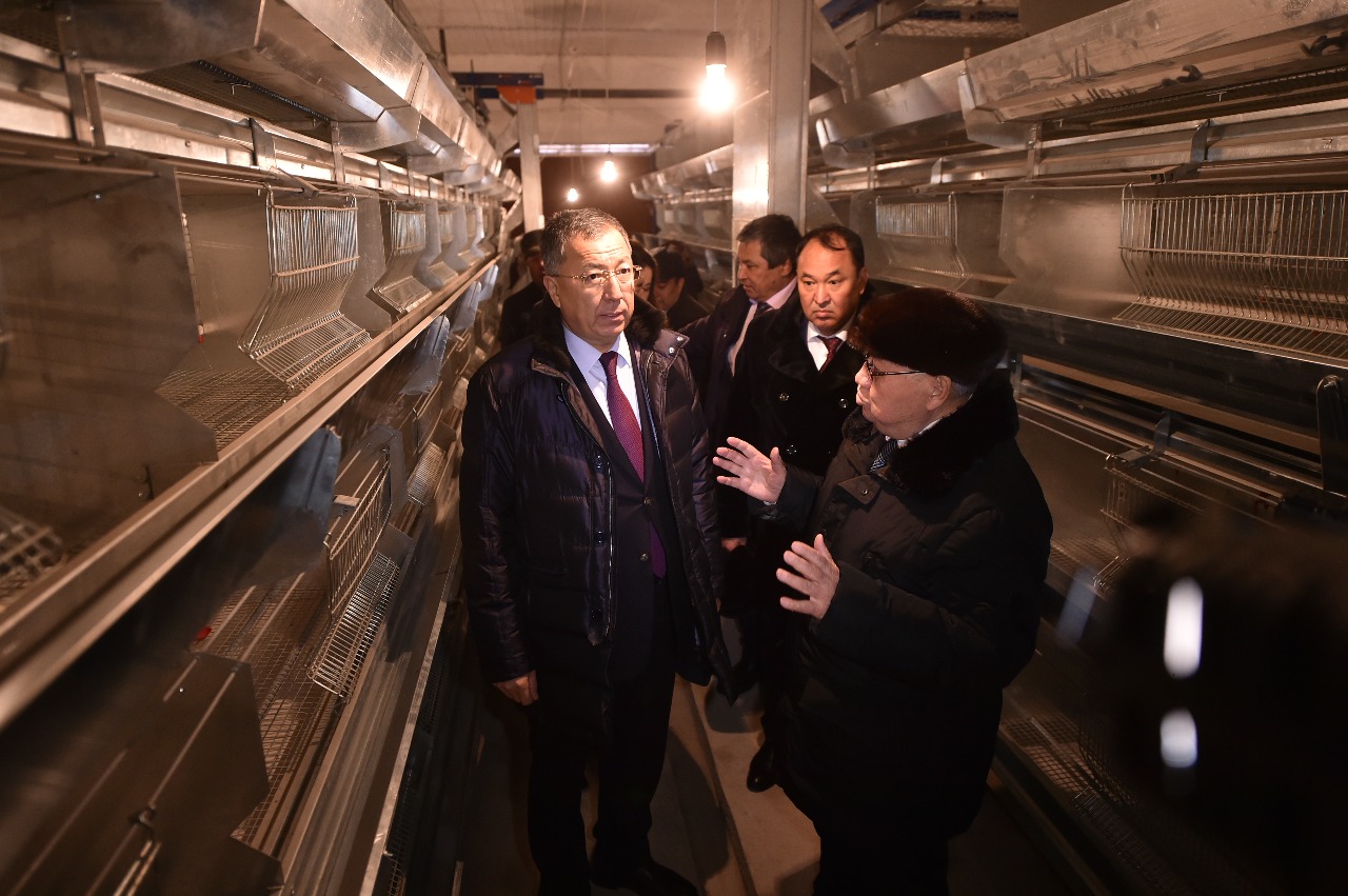 Төлеби ауданында кооперативке біріккен фермерлер құс шаруашылығын дамытпақ