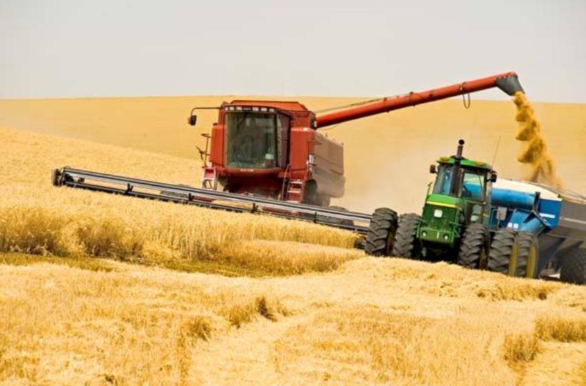 Электронды пішімдегі квота диқанның көңілін көншіте алды ма?
