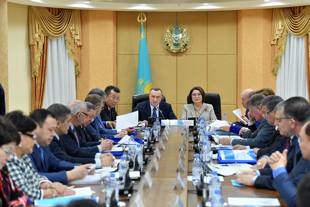 Сенатта азаматтық қоғамды дамыту заңнамасын жетілдіру мәселесі қаралды