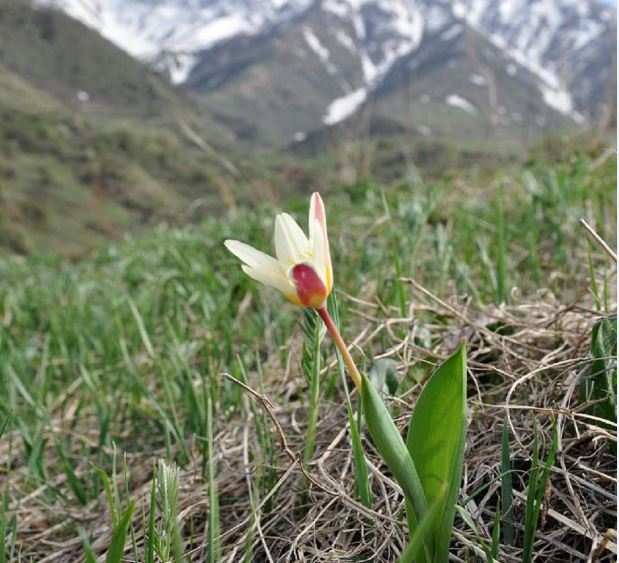 Әз-Наурыз – жаңару мен жаңғырудың бастауы