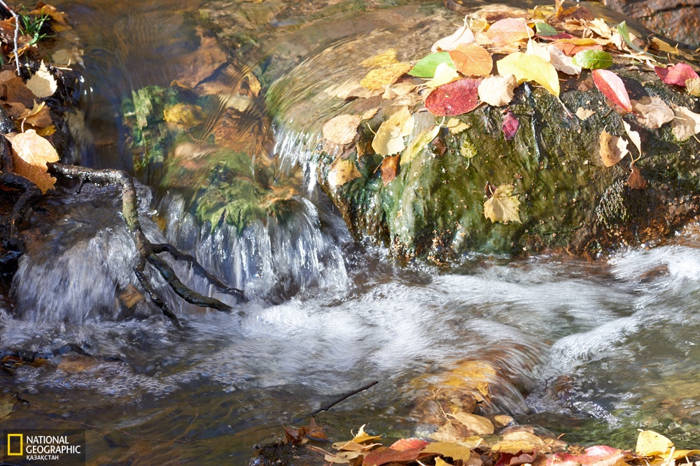 Балшығы, суы ем «Қараболат әулие»
