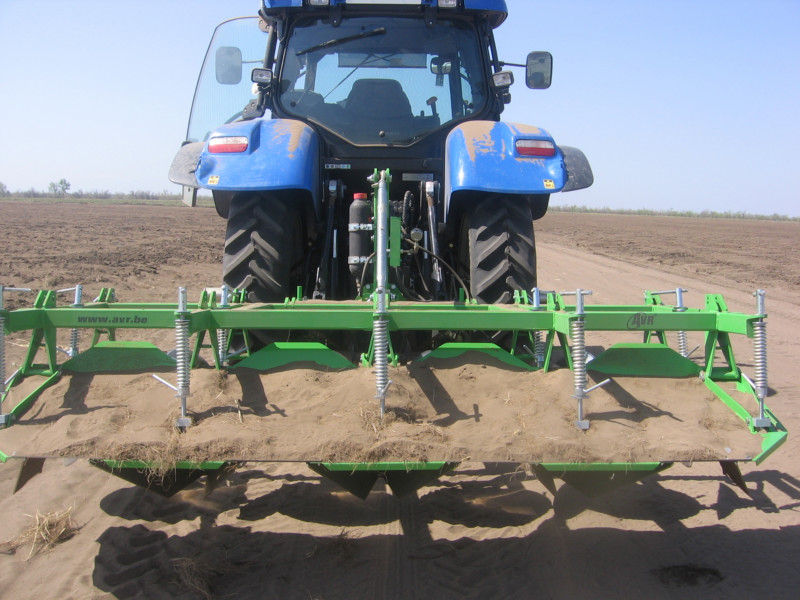 Ертіс ауданы 100 мыңнан астам гектар алқапқа дәнді-дақылдар егіледі