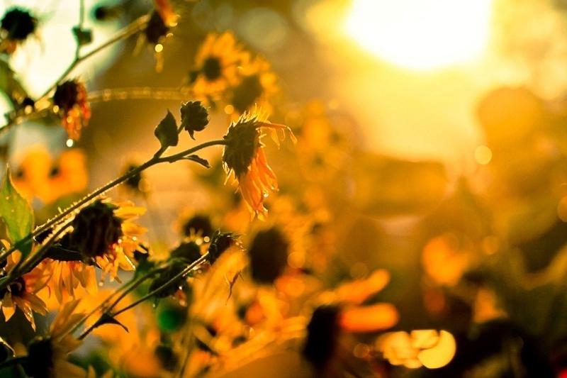 Еліміздің батысында 43 градусқа дейін ыстық болады