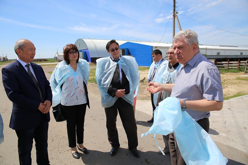 Аудиториядан – өндіріске