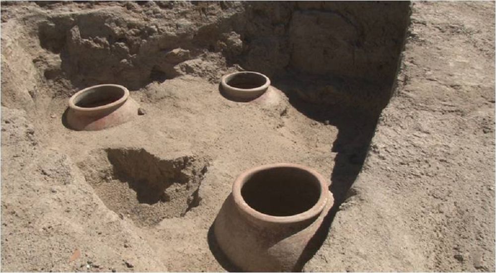 Сығанақ бүккен сыр