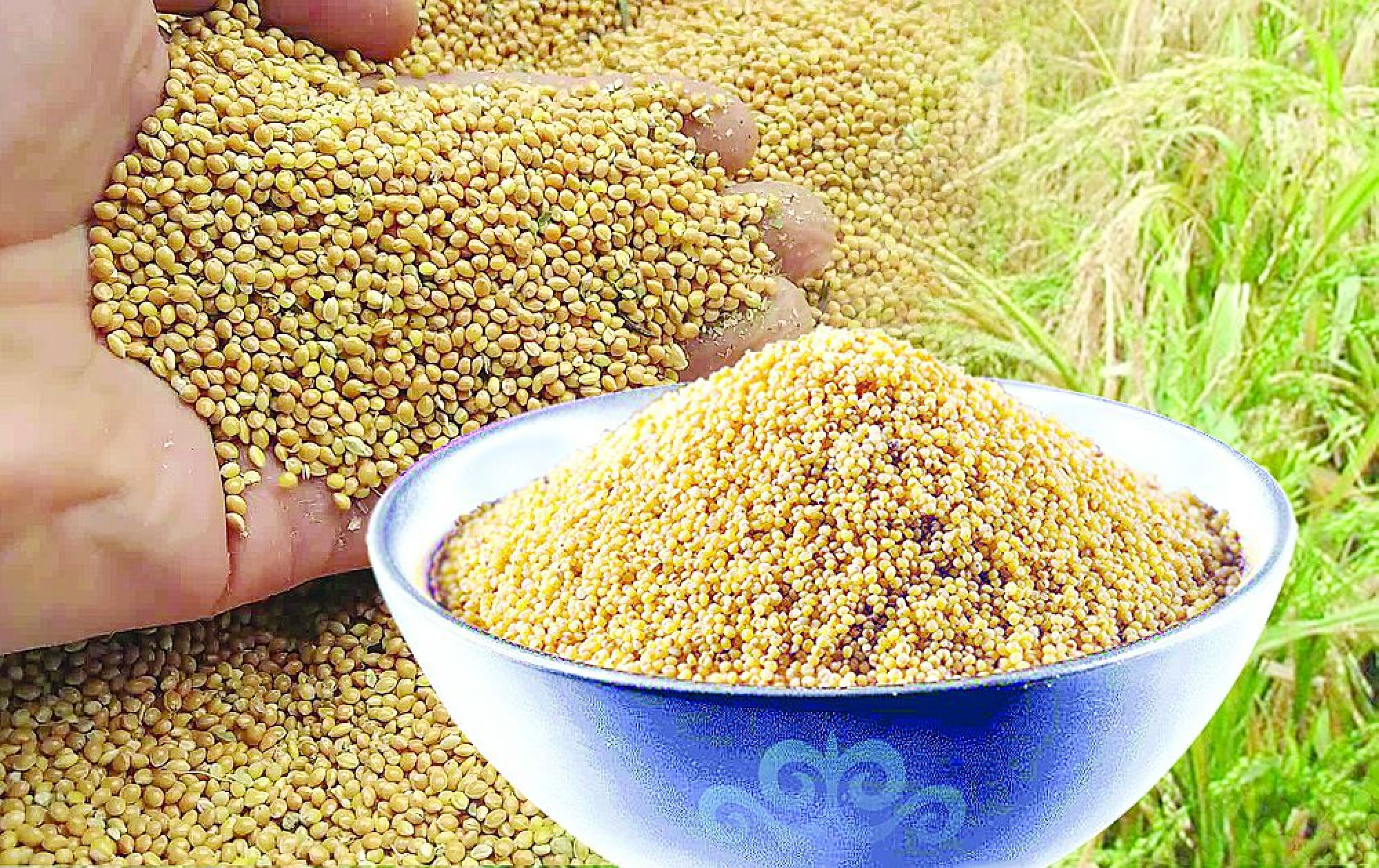 Тары өндірісі тасада қалмасын десек...