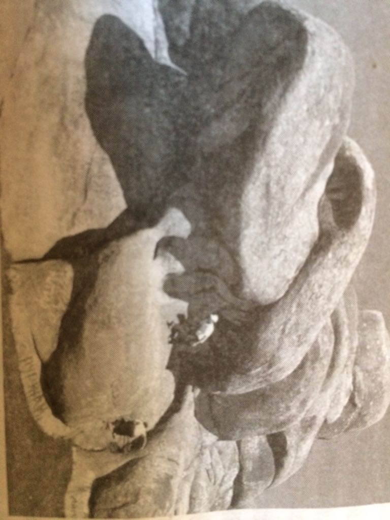 Шоқанды ынтықтырған шартас