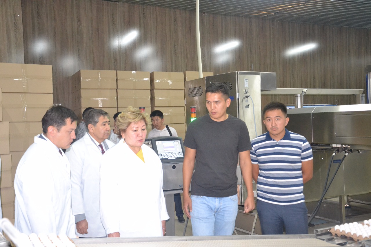 Мәжіліс депутаттары Жамбыл облысының әлеуметтік нысандарын аралады