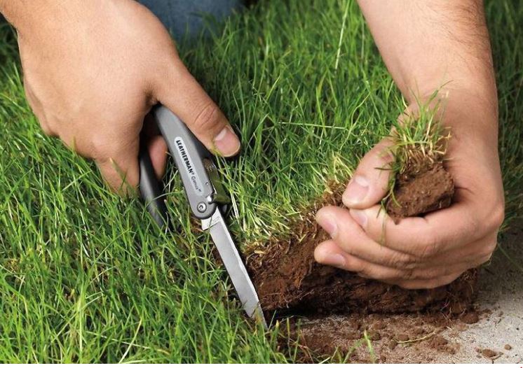 Алматыда жер учаскесіне қатысты заңсыз әрекеттер анықталды