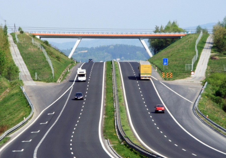 Көрші елге қарай автокөлік ағыны көбейді
