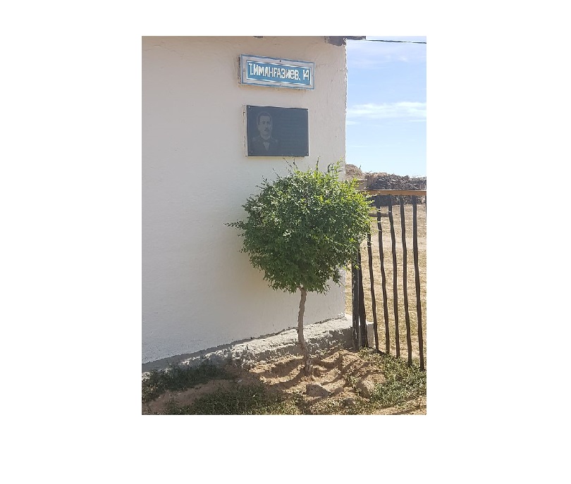 Төлеген терегі