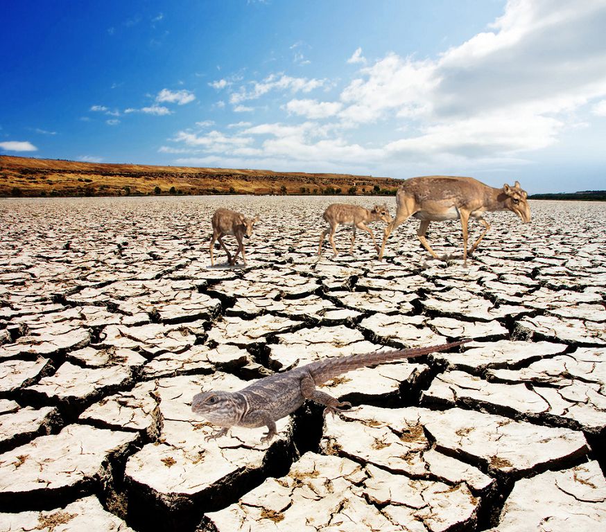 Тақыр...(әңгіме)