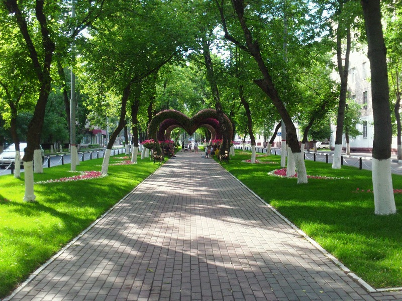 Солтүстік Қазақстанда жастар саябақтары көбейеді