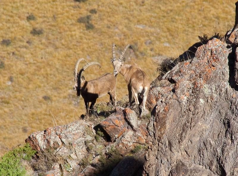 Қазақстанның көрікті жерлері туралы бағдарлама халықаралық сыйлыққа ие болды