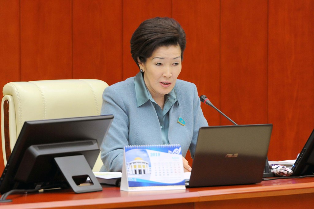 Мәжілісте мемлекеттік жастар саясатын іске асыру барысы туралы талқыланды