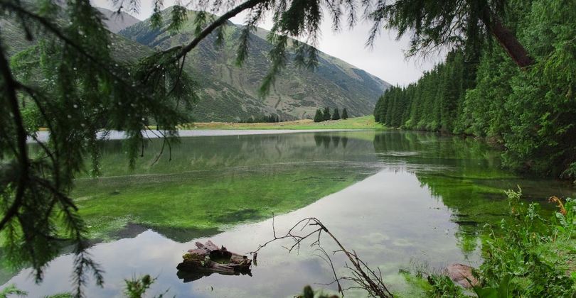 Өткен демалыс маусымында Жетісуға 2 миллионға жуық турист келді