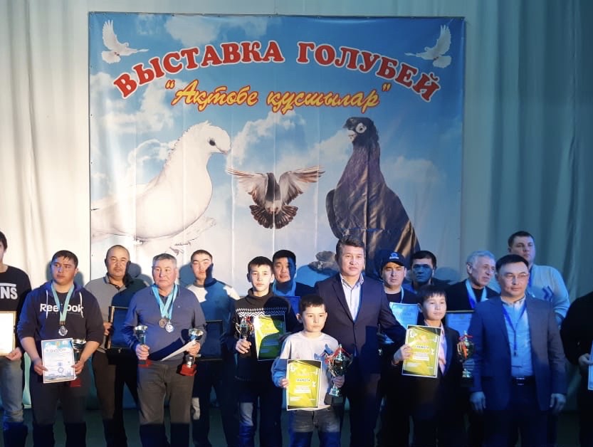 Ақтөбеде 20-дан аса көгершін көпшілік назарына ұсынылды