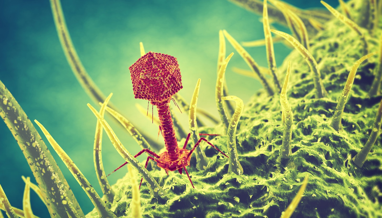 Антибиотиктерден келетін қауіп қандай?