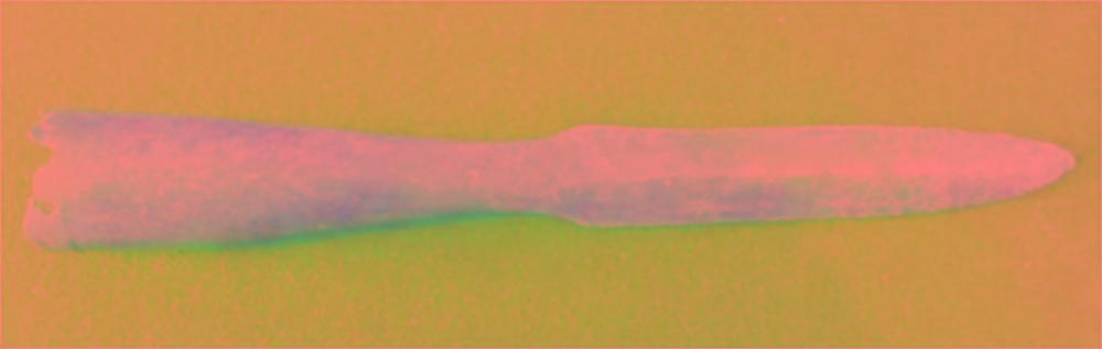 Батырдан қалған жалғыз мұра