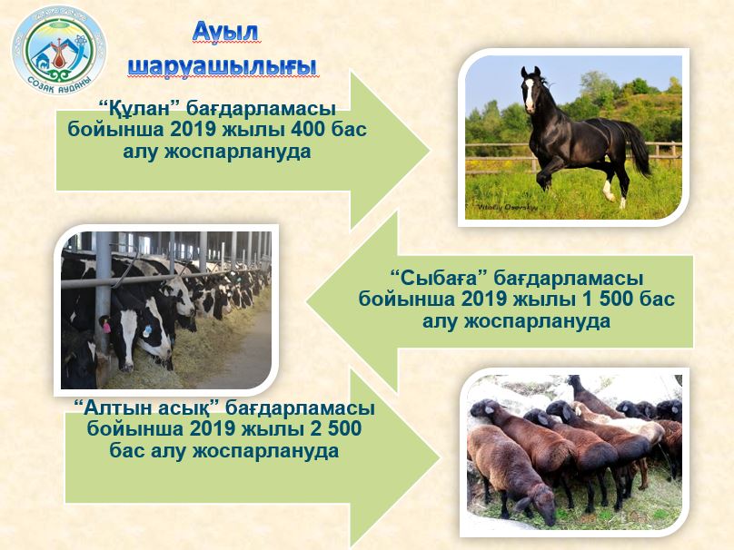 Түркістан: Созақ ауданында өңірлік өнім көлемі 245 млрд теңгеден асқан