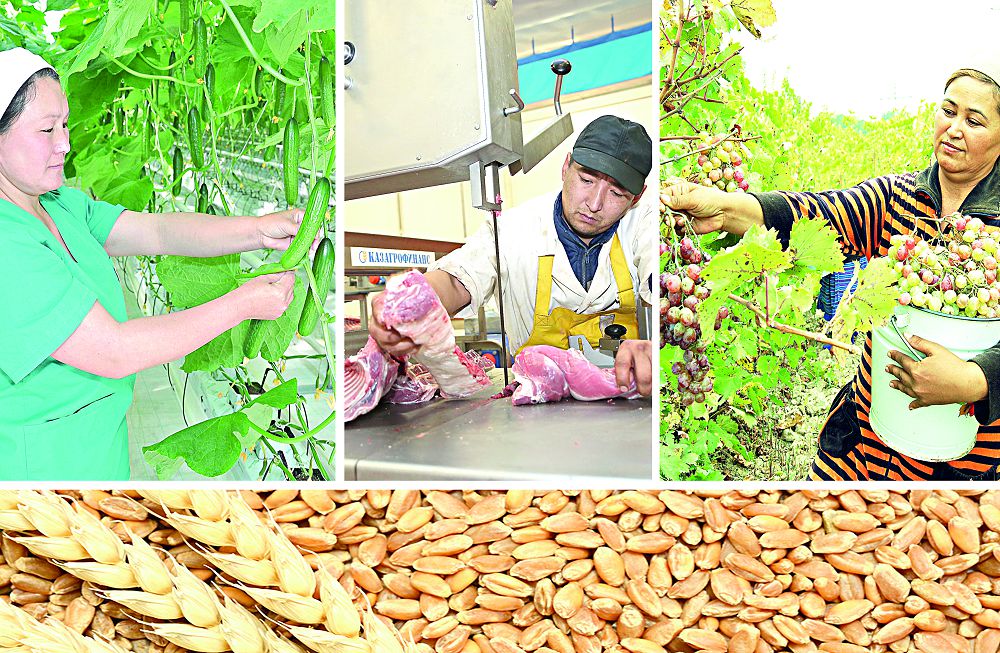 Ауыл шаруашылығы өнімдерінің  экспорты ұлғайып келеді