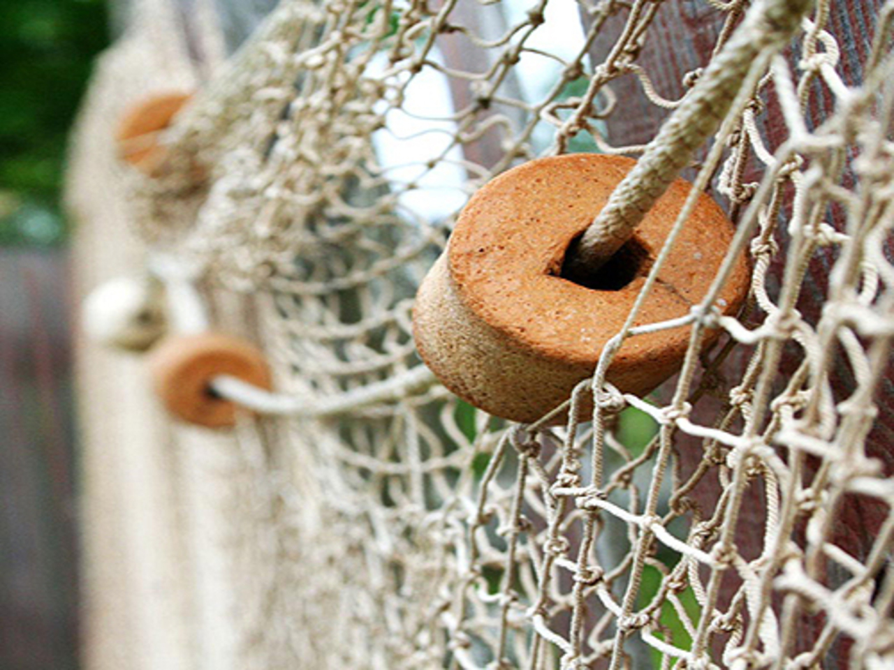 Заңсыз балық аулаушылар азаймай тұр