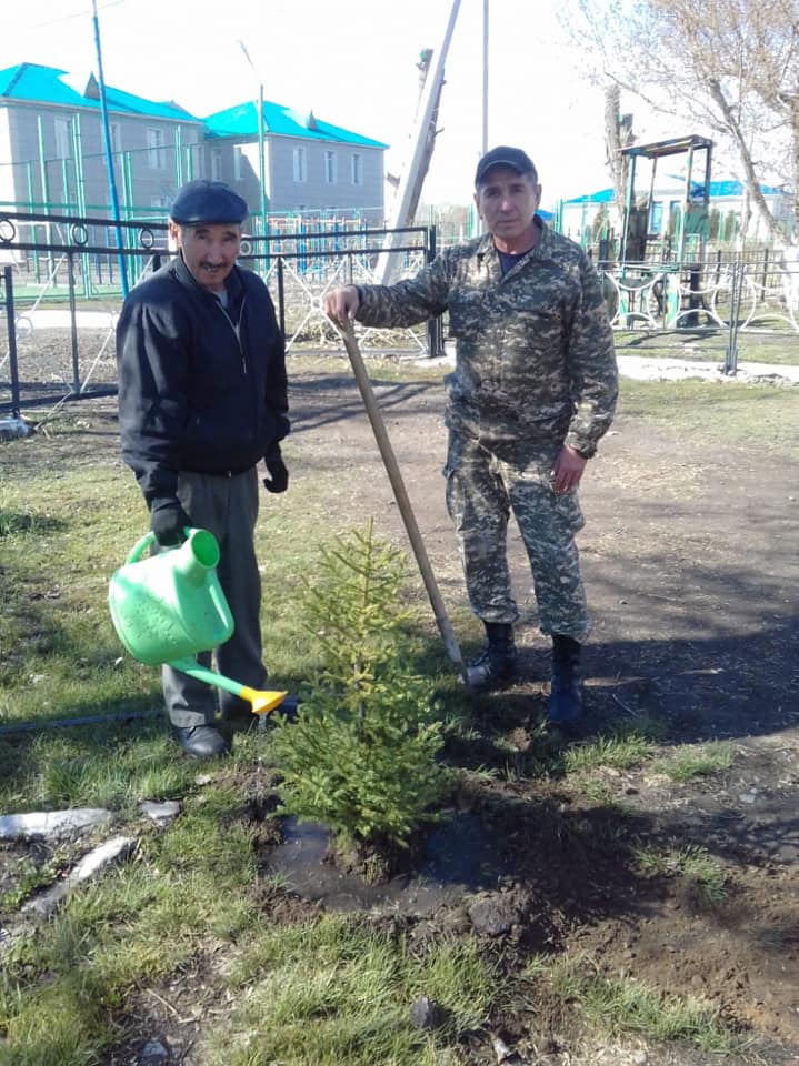 Аягөз ауданына 5 мың түп шырша отырғызылады