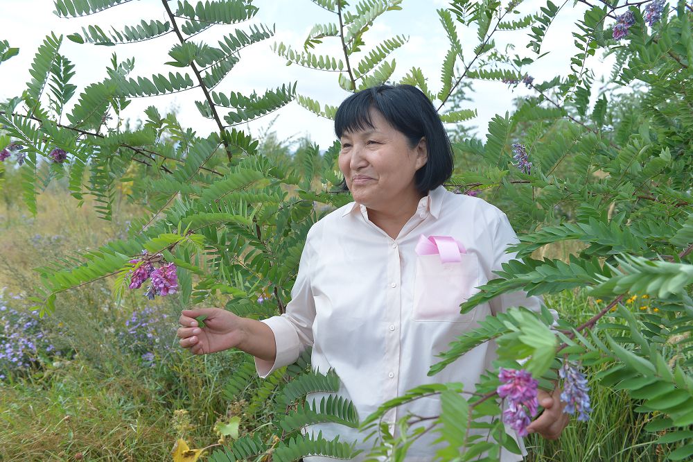 Гөзел Құлжабаева: Көгалдандыру ісіне бөлінген қаржы тиімсіз жұмсалады