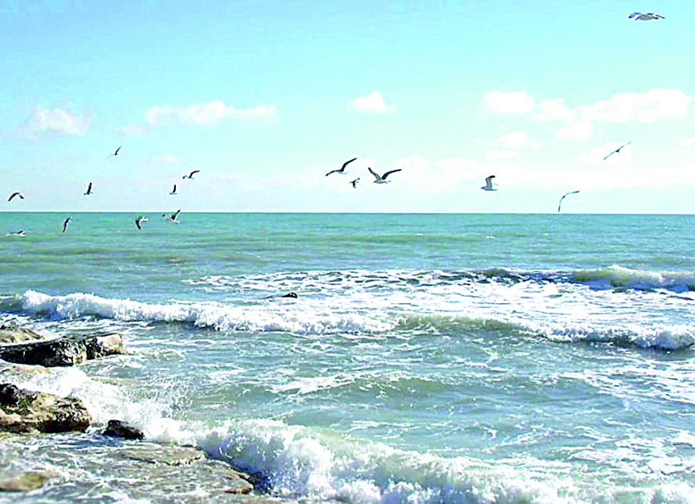 Теңізді ластау  қашанға дейін жалғасады?