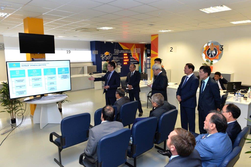 Сенат депутаттары электронды декларациялау жұмысымен танысты