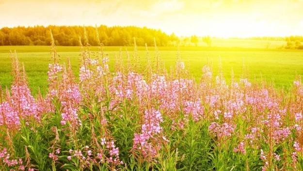 23 маусымға арналған ауа райы болжамы