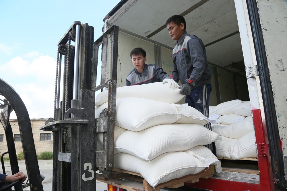 Қостанай Арыстағы 450 үйді қалпына келтіріп береді