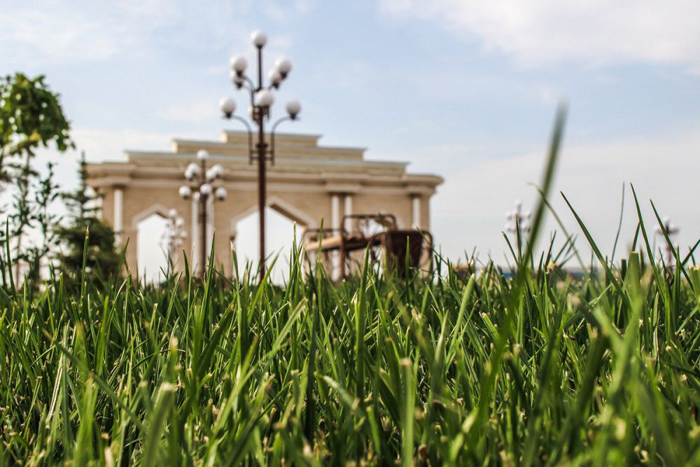 Апат болған қаладағы ағайын  үйлеріне оралады