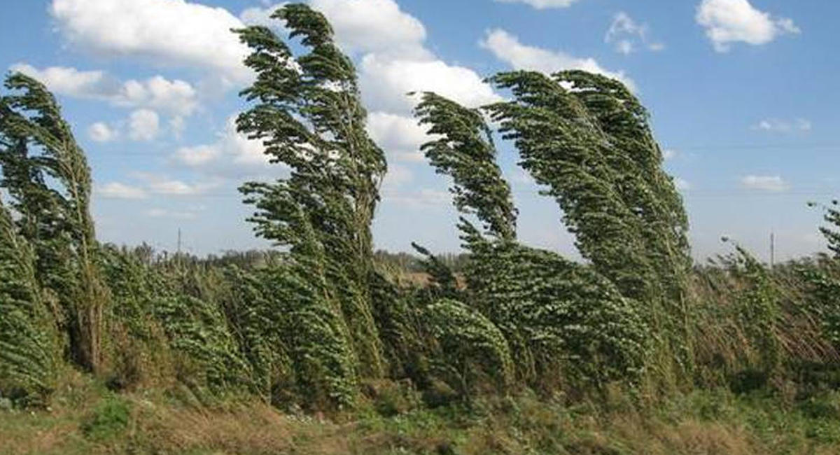 29 маусымға арналған ауа райы болжамы